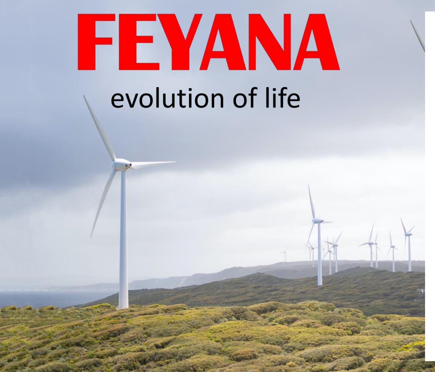 Wind farm - FEYANA