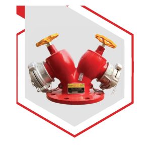 Trụ nước chữa cháy 2 cửa PN10 83MEC BQP83.10.THC - FEYANA