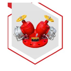Trụ nước chữa cháy 2 cửa PN16 83MEC BQP83.16.THC - FEYANA