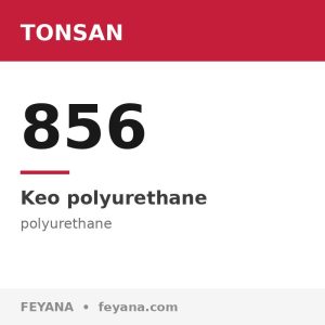 Keo PU kết cấu TONSAN 856 cho giảm trọng lượng xe